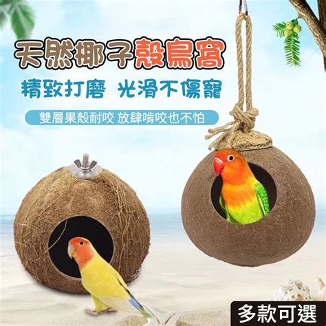 鳥窩窩